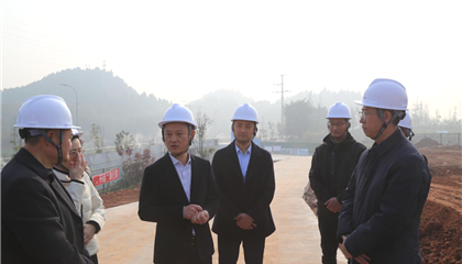 向诚督导调研集团重大项目建设和“项目通”应用工作