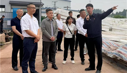 兴业集团党委开展“党建引领聚合力 攻坚克难显担当”主题党日暨现场教学活动