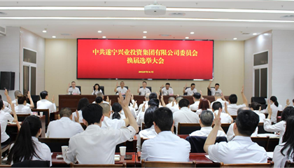 汇聚磅礴力量，续写兴业辉煌 ——遂宁兴业集团党委圆满完成换届选举工作