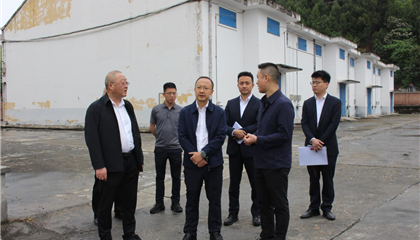 市国资委调研督导兴业集团经营管理工作